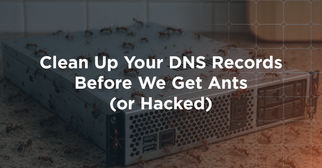 Clean Up Your DNS Records Before We Get Ants (or Hacked)