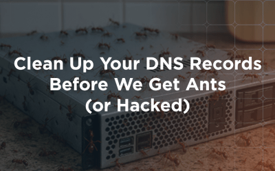 Clean Up Your DNS Records Before We Get Ants (or Hacked)